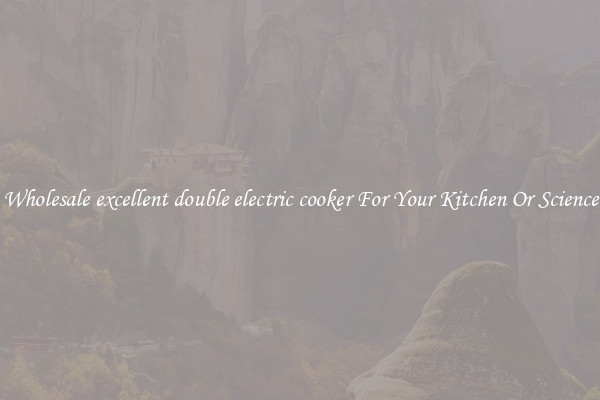 Wholesale excellent double electric cooker For Your Kitchen Or Science