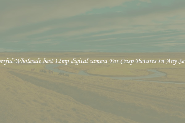 Powerful Wholesale best 12mp digital camera For Crisp Pictures In Any Setting