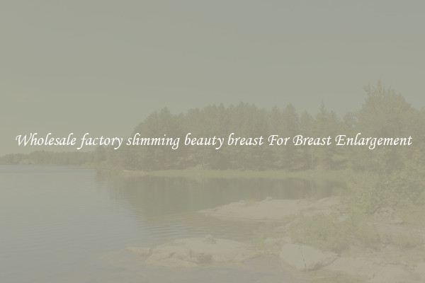 Wholesale factory slimming beauty breast For Breast Enlargement