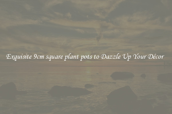 Exquisite 9cm square plant pots to Dazzle Up Your Décor  
