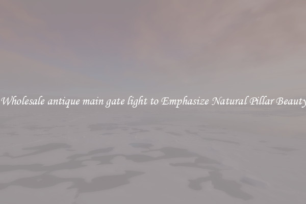 Wholesale antique main gate light to Emphasize Natural Pillar Beauty