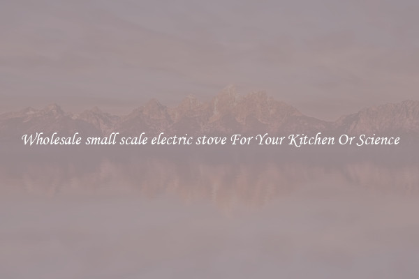 Wholesale small scale electric stove For Your Kitchen Or Science