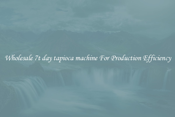 Wholesale 7t day tapioca machine For Production Efficiency