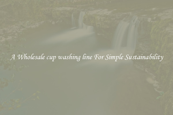  A Wholesale cup washing line For Simple Sustainability 