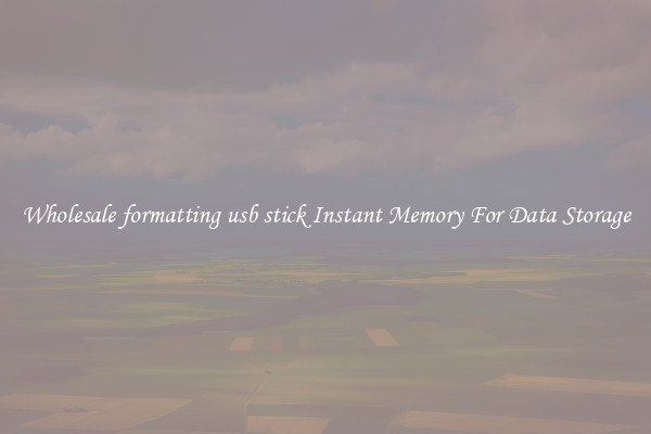 Wholesale formatting usb stick Instant Memory For Data Storage