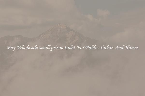 Buy Wholesale small prison toilet For Public Toilets And Homes