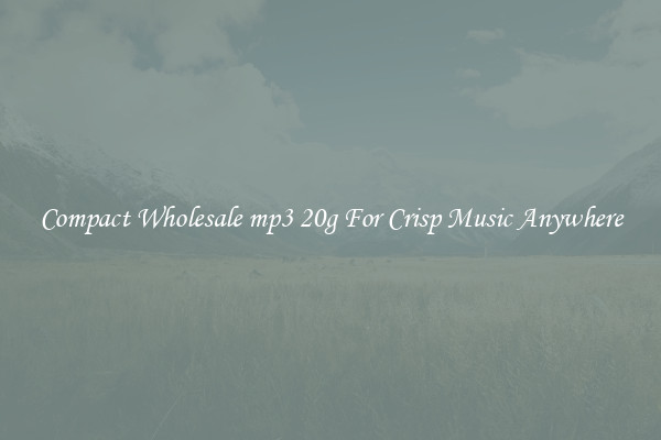 Compact Wholesale mp3 20g For Crisp Music Anywhere