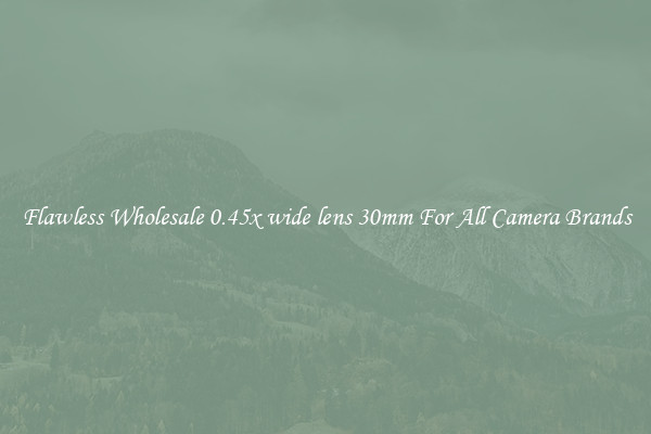 Flawless Wholesale 0.45x wide lens 30mm For All Camera Brands