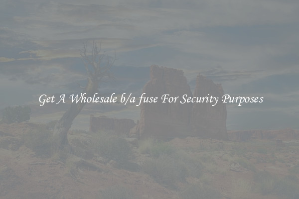 Get A Wholesale b/a fuse For Security Purposes