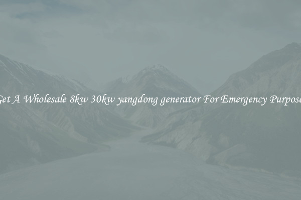 Get A Wholesale 8kw 30kw yangdong generator For Emergency Purposes