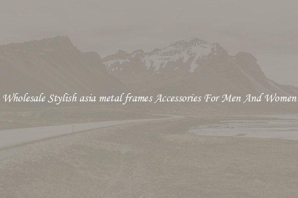 Wholesale Stylish asia metal frames Accessories For Men And Women