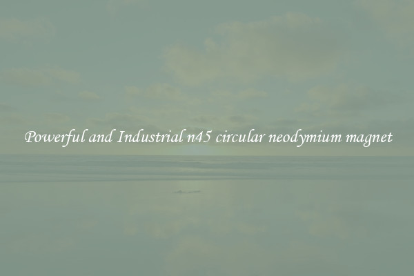 Powerful and Industrial n45 circular neodymium magnet
