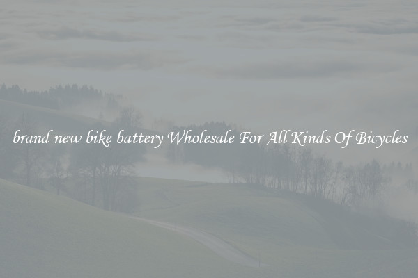 brand new bike battery Wholesale For All Kinds Of Bicycles