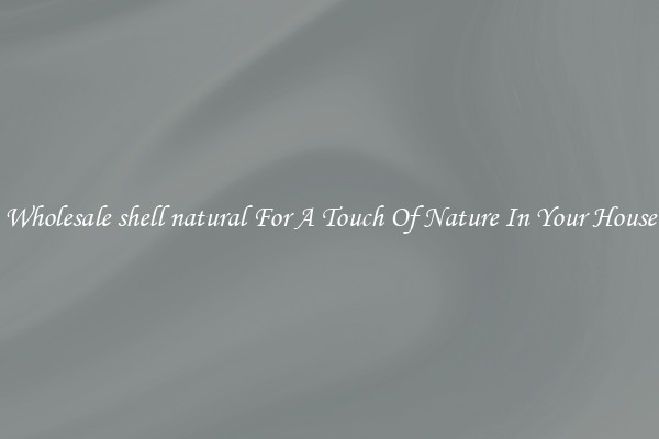 Wholesale shell natural For A Touch Of Nature In Your House