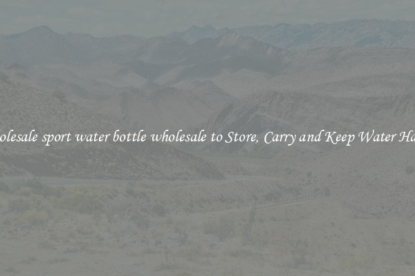 Wholesale sport water bottle wholesale to Store, Carry and Keep Water Handy
