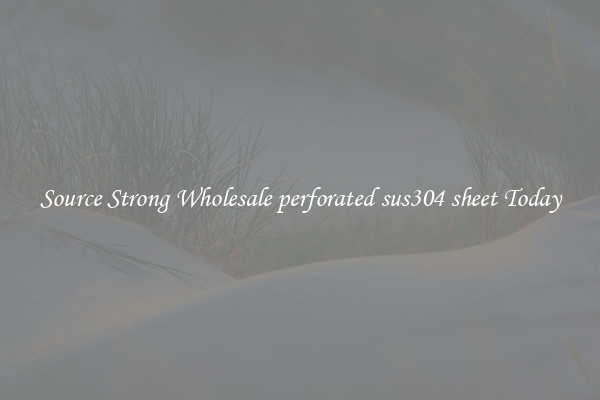 Source Strong Wholesale perforated sus304 sheet Today
