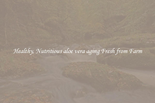 Healthy, Nutritious aloe vera aging Fresh from Farm