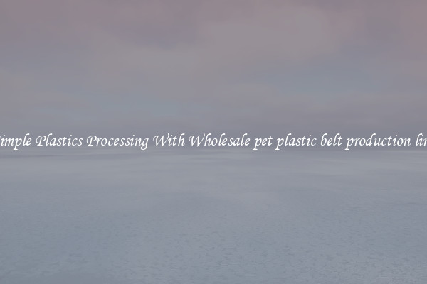 Simple Plastics Processing With Wholesale pet plastic belt production line