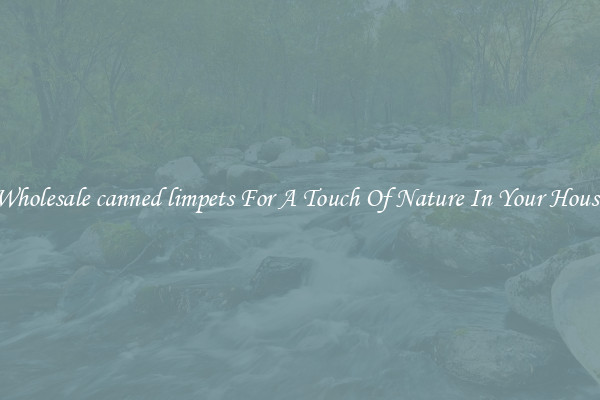 Wholesale canned limpets For A Touch Of Nature In Your House