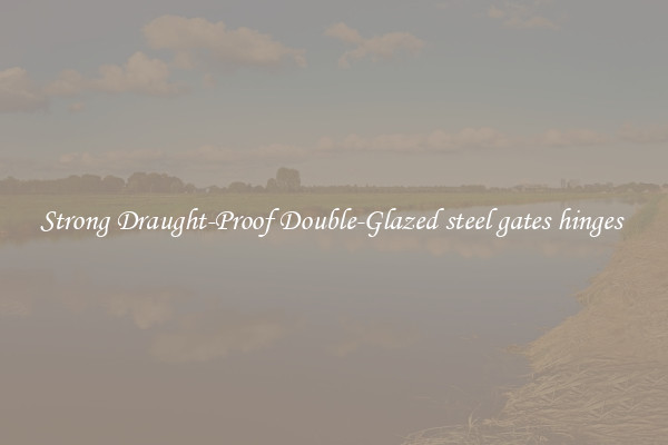 Strong Draught-Proof Double-Glazed steel gates hinges 