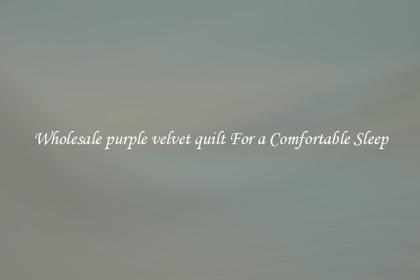 Wholesale purple velvet quilt For a Comfortable Sleep