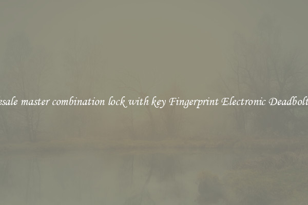 Wholesale master combination lock with key Fingerprint Electronic Deadbolt Door 