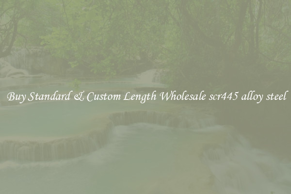 Buy Standard & Custom Length Wholesale scr445 alloy steel