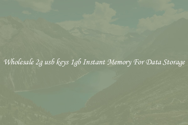 Wholesale 2g usb keys 1gb Instant Memory For Data Storage